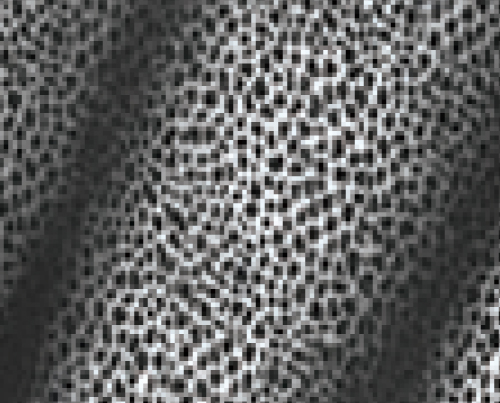 HF 4000